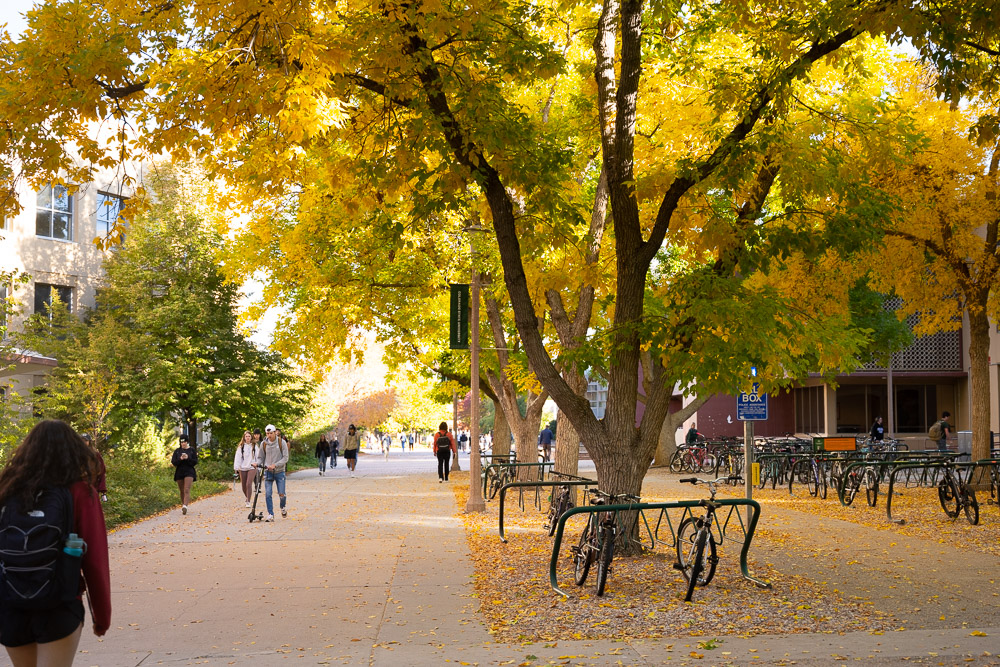CSU Fall Colors