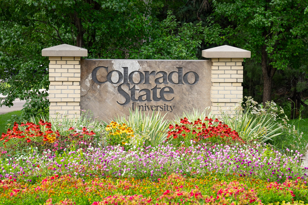 Entrance of CSU Campus